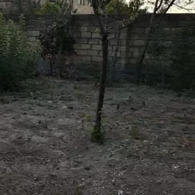 In Sheki nan acre land is for sale - Image 3