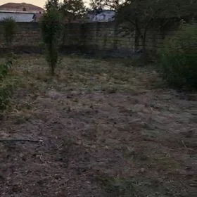 In Sheki nan acre land is for sale - Image 4