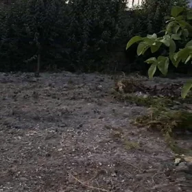 In Sheki nan acre land is for sale - Image 8