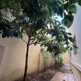 In Sabunçu rayonu 100.0 m² house with 6.0 rooms is for rent - Image 9