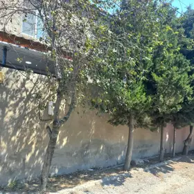 Baku-da 4.0 otaqlı 115.0 m2 bağ satılır - Şəkil 3