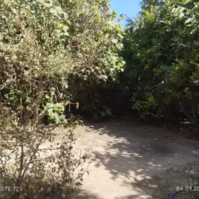 In Xəzər rayonu 90.0 m² house with 3.0 rooms is for sale - Image 3