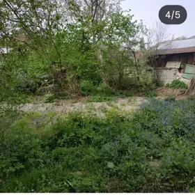 In Sheki nan acre land is for sale - Image 2