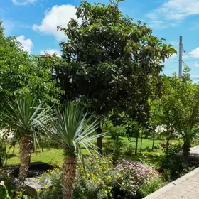 In Sabunçu rayonu 185.0 m² house with 7.0 rooms is for sale - Image 7