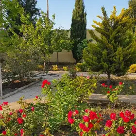 In Pirallahı rayonu 200.0 m² house with 5.0 rooms is for sale - Image 6