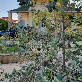 In Pirallahı rayonu 200.0 m² house with 5.0 rooms is for sale - Image 9