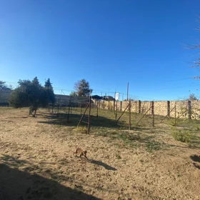 In Binəqədi rayonu nan acre land is for sale - Image 4