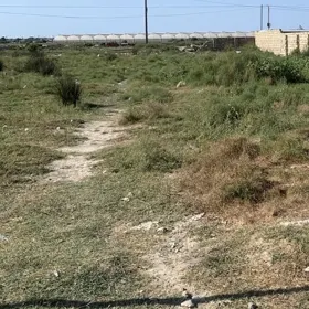 In nan nan acre land is for sale - Image 3