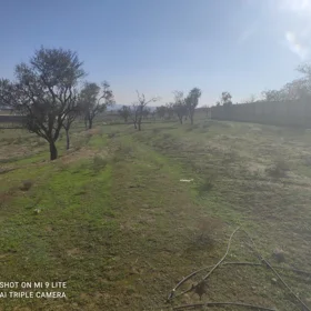 In nan nan acre land is for sale - Image 6