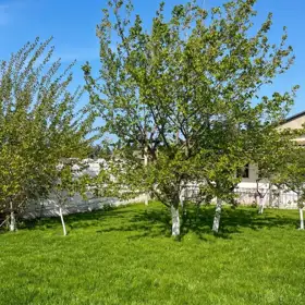 In Sabunçu rayonu 100.0 m² house with 4.0 rooms is for sale - Image 4