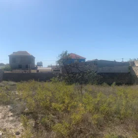 In Suraxanı rayonu nan acre land is for sale - Image 4