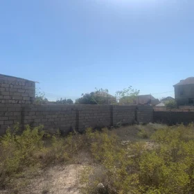 In Suraxanı rayonu nan acre land is for sale - Image 5