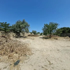 In nan nan acre land is for sale - Image 2