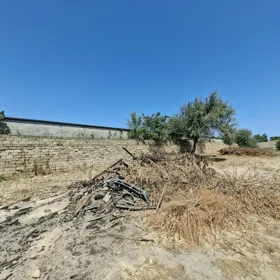 In nan nan acre land is for sale - Image 4