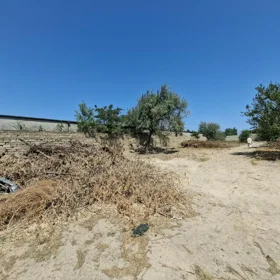 In nan nan acre land is for sale - Image 5
