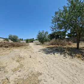 In nan nan acre land is for sale - Image 7