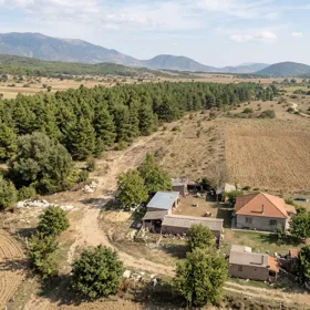 In Ismayilli nan acre land is for sale - Image 2