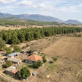 In Ismayilli nan acre land is for sale - Image 3