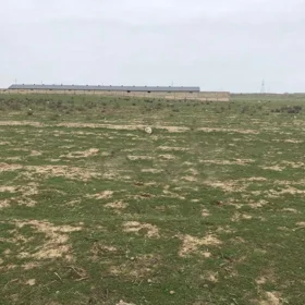 In nan nan acre land is for sale - Image 2