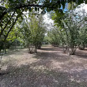 In nan nan acre land is for sale - Image 5