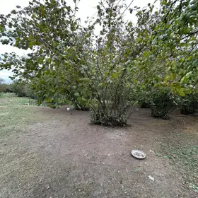 In nan nan acre land is for sale - Image 6