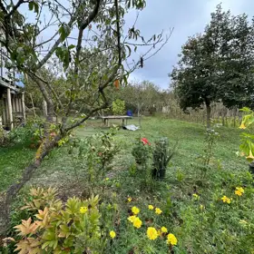 In nan nan acre land is for sale - Image 8