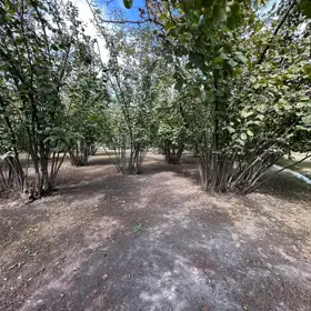 In nan nan acre land is for sale - Image 9