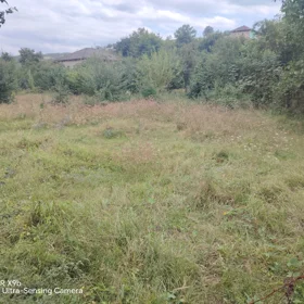 In nan nan acre land is for sale - Image 2