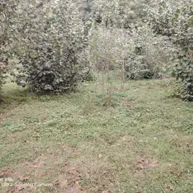 In nan nan acre land is for sale - Image 3