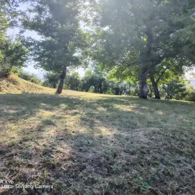 In nan nan acre land is for sale - Image 4