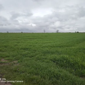 In nan nan acre land is for sale - Image 5