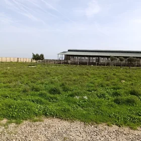 In nan 2600.0 m² commercial is for rent - Image 9