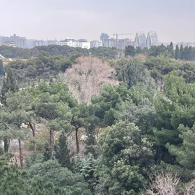 In Səbail rayonu 137.0 m² apartment is for sale - Image 7