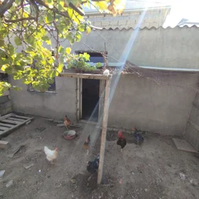 In Binəqədi rayonu 220.0 m² house with 7.0 rooms is for sale - Image 6