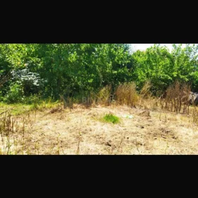 In Masalli nan acre land is for sale - Image 4
