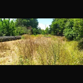 In Masalli nan acre land is for sale - Image 5