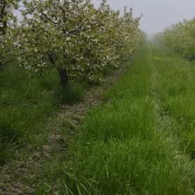 In nan nan acre land is for sale - Image 5