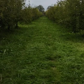 In nan nan acre land is for sale - Image 10