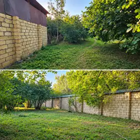 In Gabala nan acre land is for sale - Image 3