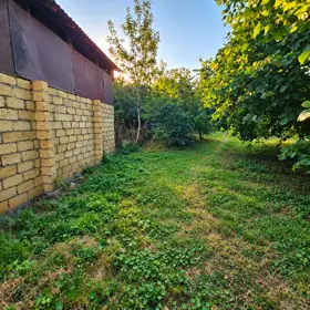 In Gabala nan acre land is for sale - Image 4