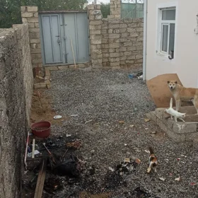 In Xəzər rayonu nan m² house with 2.0 rooms is for sale - Image 8