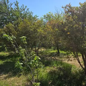 In Sumgayit 133.0 m² house with 5.0 rooms is for sale - Image 4
