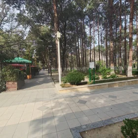 In Khirdalan 258.0 m² commercial is for rent - Image 5
