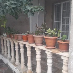 In Baku 120.0 m² house with 4.0 rooms is for sale - Image 5