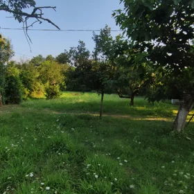 In Astara 20.0 m² house with 2.0 rooms is for sale - Image 5