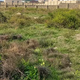 In Xəzər rayonu nan acre land is for sale - Image 2