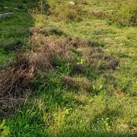In Xəzər rayonu nan acre land is for sale - Image 3