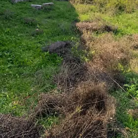 In Xəzər rayonu nan acre land is for sale - Image 5
