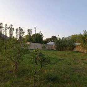 In Sheki nan acre land is for sale - Image 2