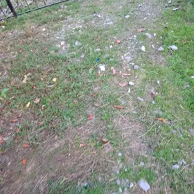 In Sheki nan acre land is for sale - Image 3